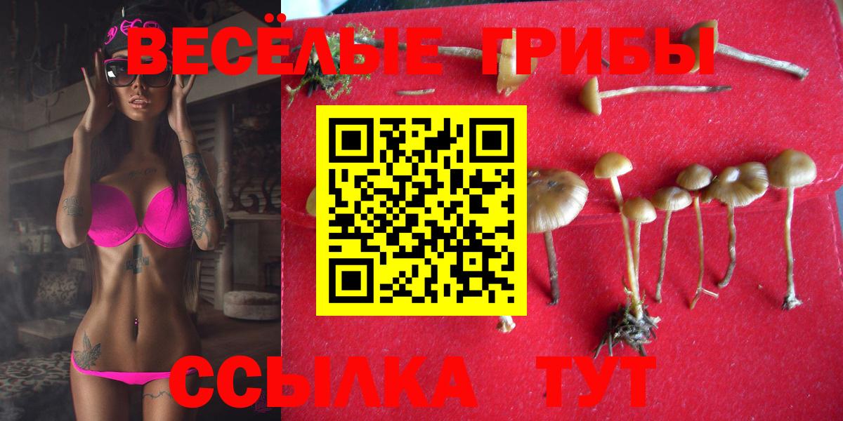 Псилоцибиновые грибы MAGIC MUSHROOMS Сорочинск