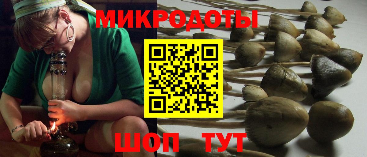 Псилоцибиновые грибы Psilocybine cubensis  Вход с VPN  Сорочинск 